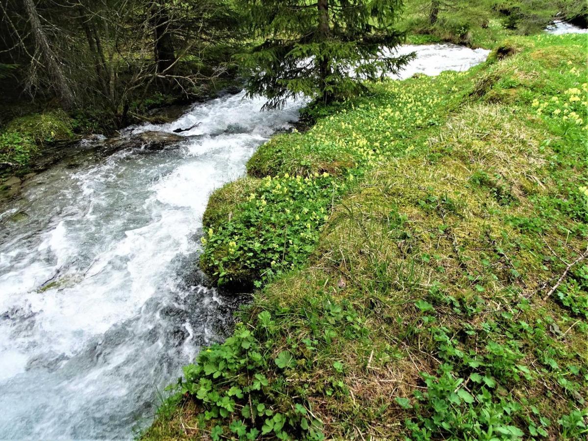 Gaestehaus Geir Apartment Obernberg am Brenner Bagian luar foto