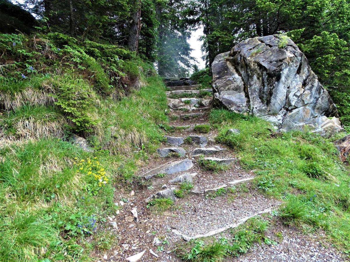Gaestehaus Geir Apartment Obernberg am Brenner Bagian luar foto